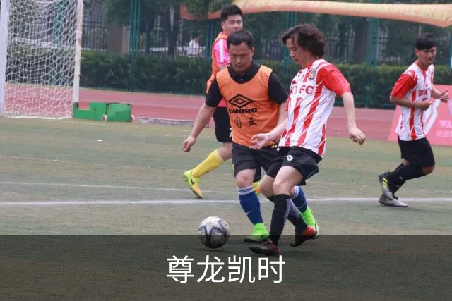 尊龙凯时团队与业务介绍